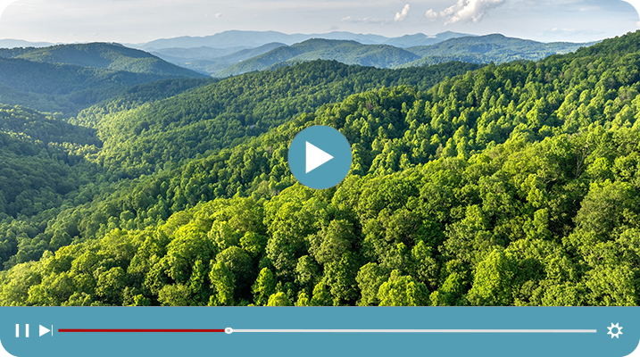 Educational video thumbnail